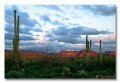 Superstiton Mountains, Arizona