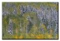 More Fall Colors near Sheriff Reservoir, Colorado