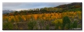 Panorama near Dunckley Pass, Colorado