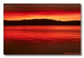Roosevelt lake, Arizona, sunrise 2
