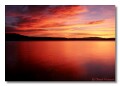Roosevelt lake, Arizona, sunrise 3
