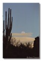 Saguaro National Monument 2, Tucson